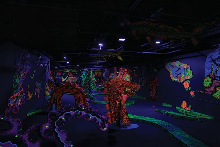 Indoor Mini Golf